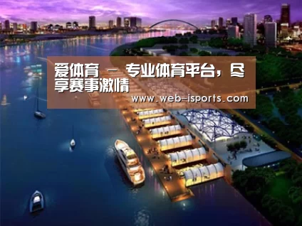 案例展示八