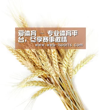 爱体育 - 专业体育平台，尽享赛事激情